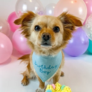 dog bandana - canoodle company