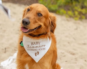 Custom Pregnancy Announcement Dog Bandana Gender Reveal Dog Bandana Embroidered Dog Bandana Personalized Last Name Announcement Baby News