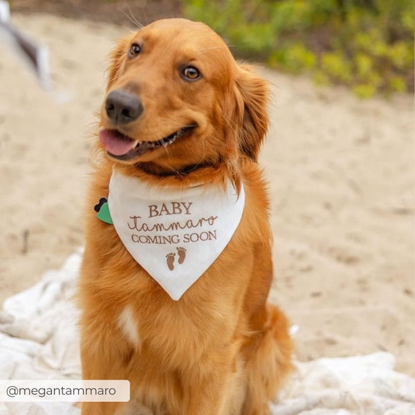 Pregnancy Announcement Dog Bandana Etsy