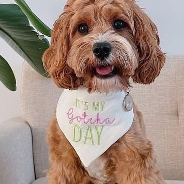 Its my gotcha day Personalized Dog bandana | Birthday girl barkday | 1st birthday cat bandanna | pet scarf | custom embroidered cute