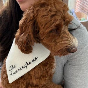 wedding dog bandana with last name keepsake for cat mom engagement puppy scarf gift personalized pet bandanna custom