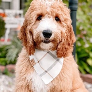 Snap on Dog Bandana blair Neutral Spring Dog Bandana With Snaps