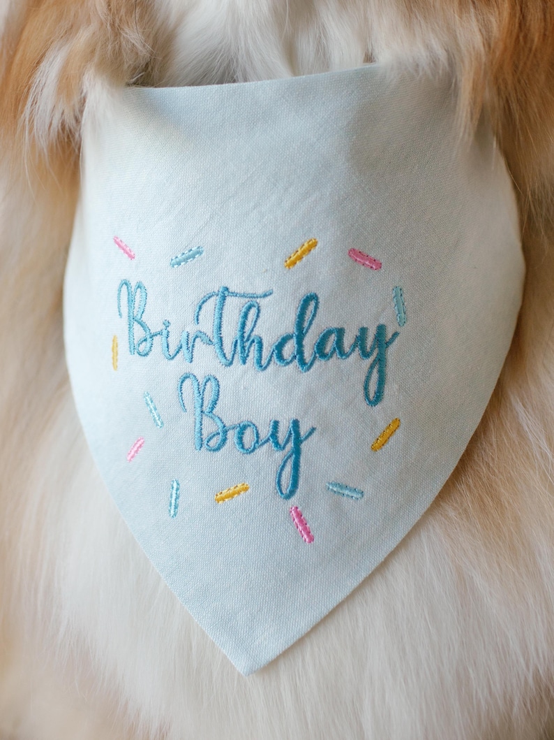 Puede incluir: Bandana azul claro para perro con la inscripci&oacute;n bordada "Birthday Boy" en cursiva. La bandana est&aacute; adornada con confeti de colores rosa, amarillo y azul. La tela parece suave y ligera.