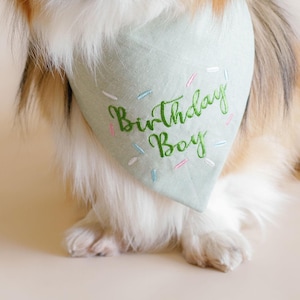 birthday bandana for dog