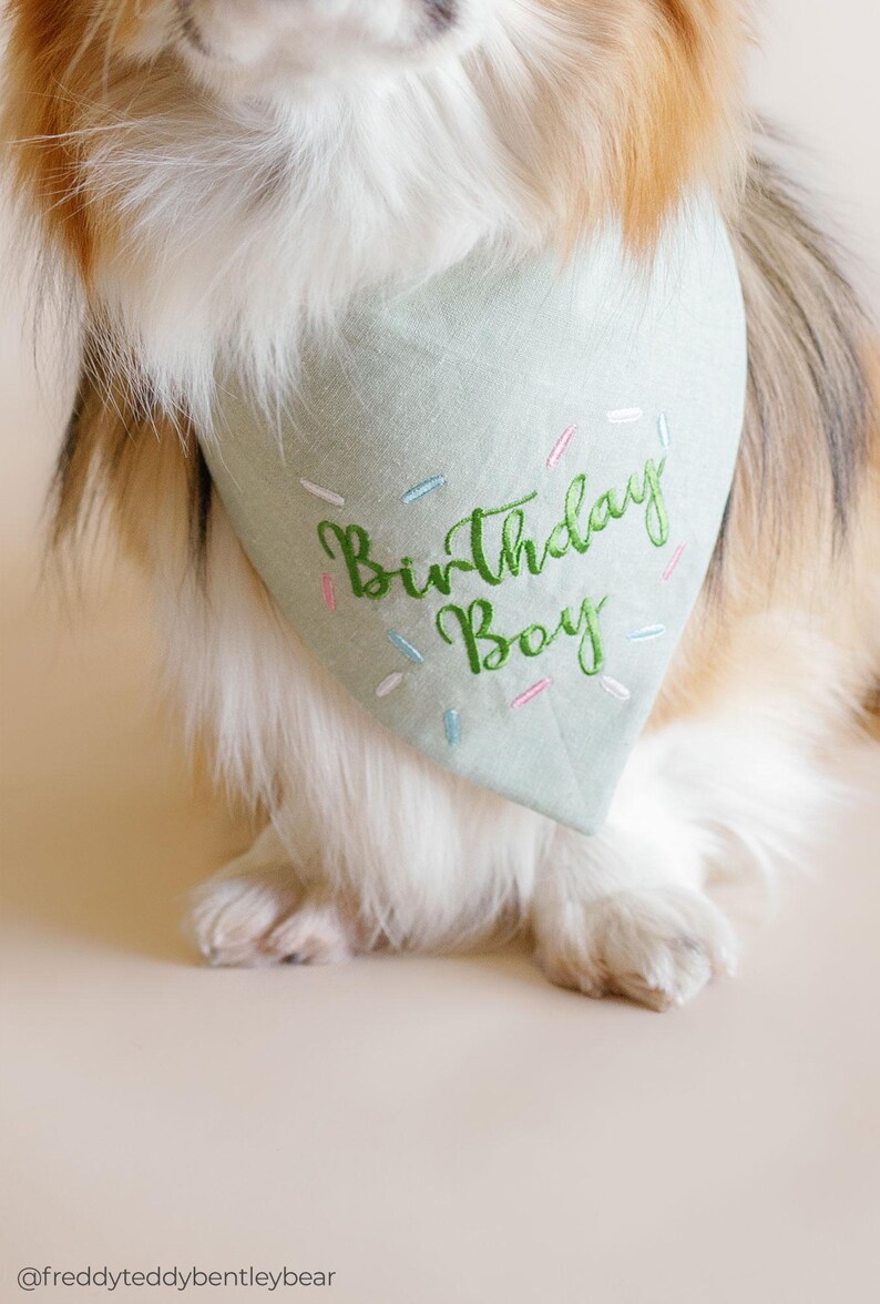 birthday bandana for dog