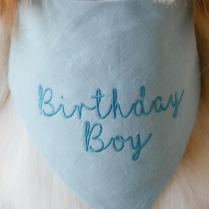 May include: A light blue triangular pet bandana featuring the embroidered text "Birthday Boy" in a darker blue cursive script. The fabric has a visible woven texture and is positioned against a background of light-colored animal fur.
