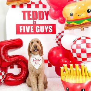 Puede incluir: Un perro golden doodle con un pa&ntilde;uelo "Birthday Boy" se sienta frente a un letrero que dice "TEDDY is FIVE GUYS". La escena incluye globos rojos y blancos, un gran globo rojo con el n&uacute;mero 5 y globos con forma de hamburguesa y papas fritas.