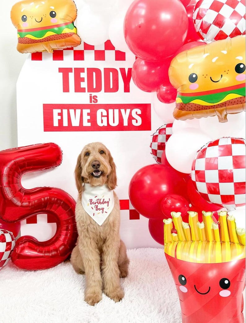 Puede incluir: Un perro golden doodle con un pa&ntilde;uelo "Birthday Boy" se sienta frente a un letrero que dice "TEDDY is FIVE GUYS". La escena incluye globos rojos y blancos, un gran globo rojo con el n&uacute;mero 5 y globos con forma de hamburguesa y papas fritas.