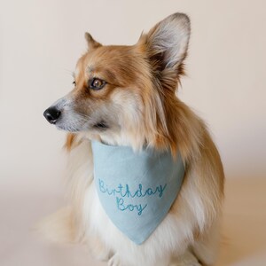 May include: A light blue triangular pet bandana featuring the embroidered text Birthday Boy in a dark teal cursive script. The fabric has a soft, matte texture and is worn around the neck of a long-haired, tan and white Corgi dog.