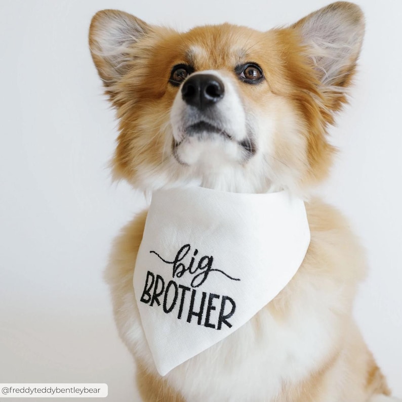 dog bandana - canoodle company