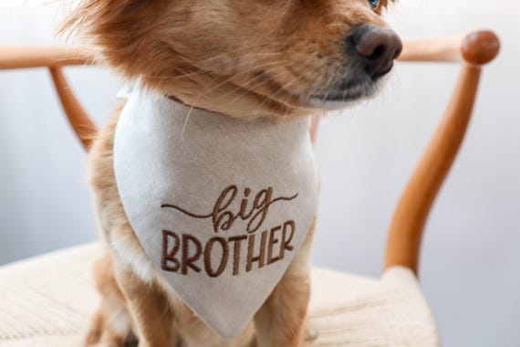 Big Brother dog bandana Pregnancy announcement pet neckwear embroidered Big bro bandanna baby reveal personalized newborn announcements Cat