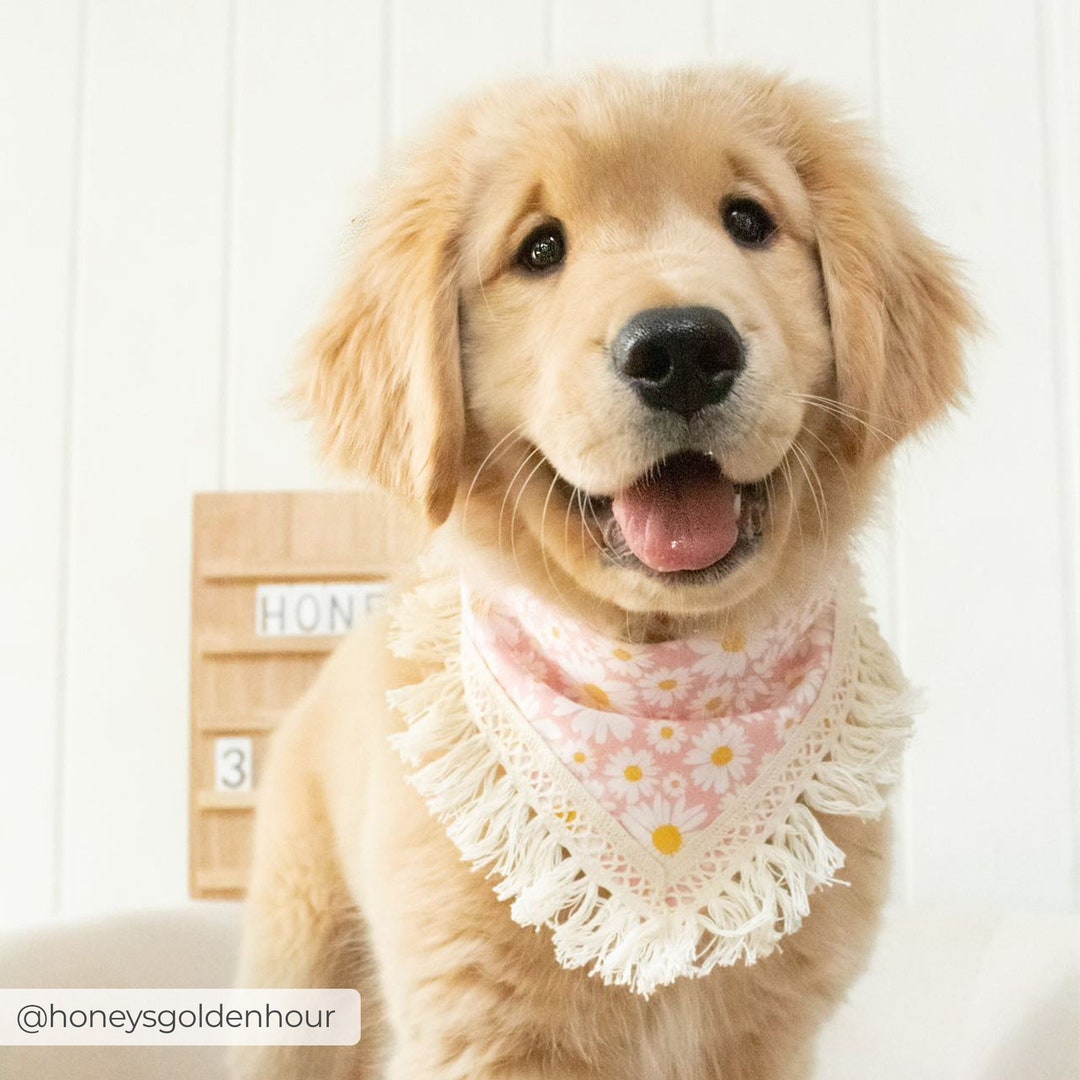 Dog Bandana little Daisies With Boho Tassels Pink Floral Puppy Snap