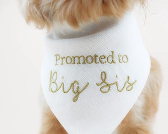 Promoted to Big Sister Dog Bandana | Custom Embroidered Big Sis Dog | Pregnancy Reveal Pet Bandana | Husband Baby Announcement Dog Scarf