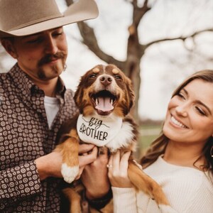 dog bandana - canoodle company