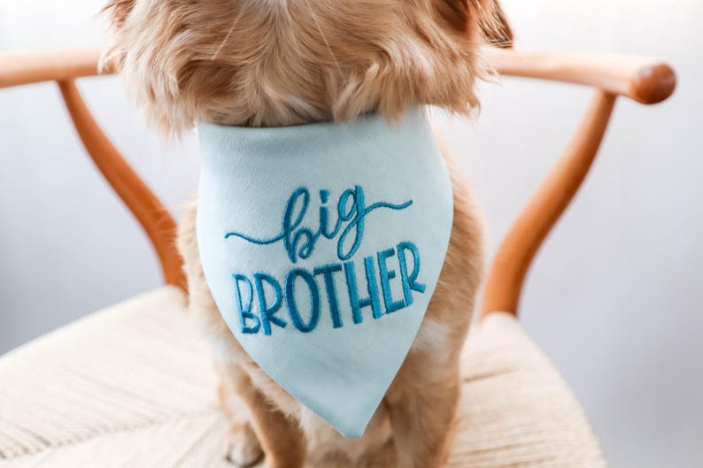 dog bandana - canoodle company