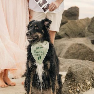 baby coming soon - canoodle company