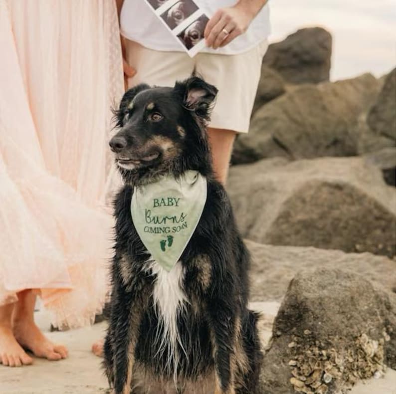 baby coming soon - canoodle company