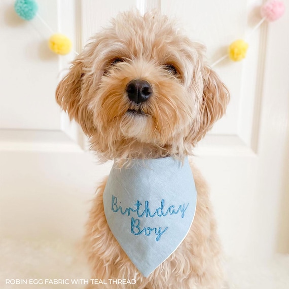 Birthday boy Dog Bandana male custom embroidered bandanna personalized snap cat bandana blue barkday scarf celebration neckwear party pet