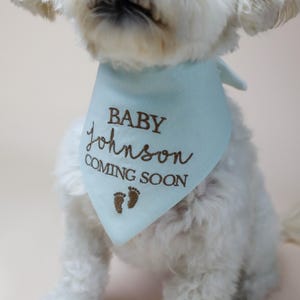 dog bandana - canoodle company
