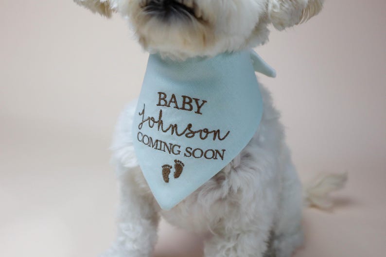 dog bandana - canoodle company