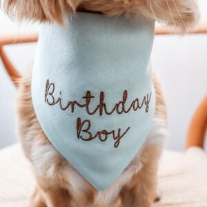 birthday boy dog bandana