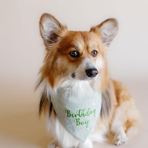 birthday bandana for dog