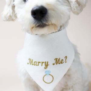 Will You Marry Me Dog Bandana, Pet bandanna engagement, embroidered neckwear for dogs, marry my dad, Marriage Proposal Idea