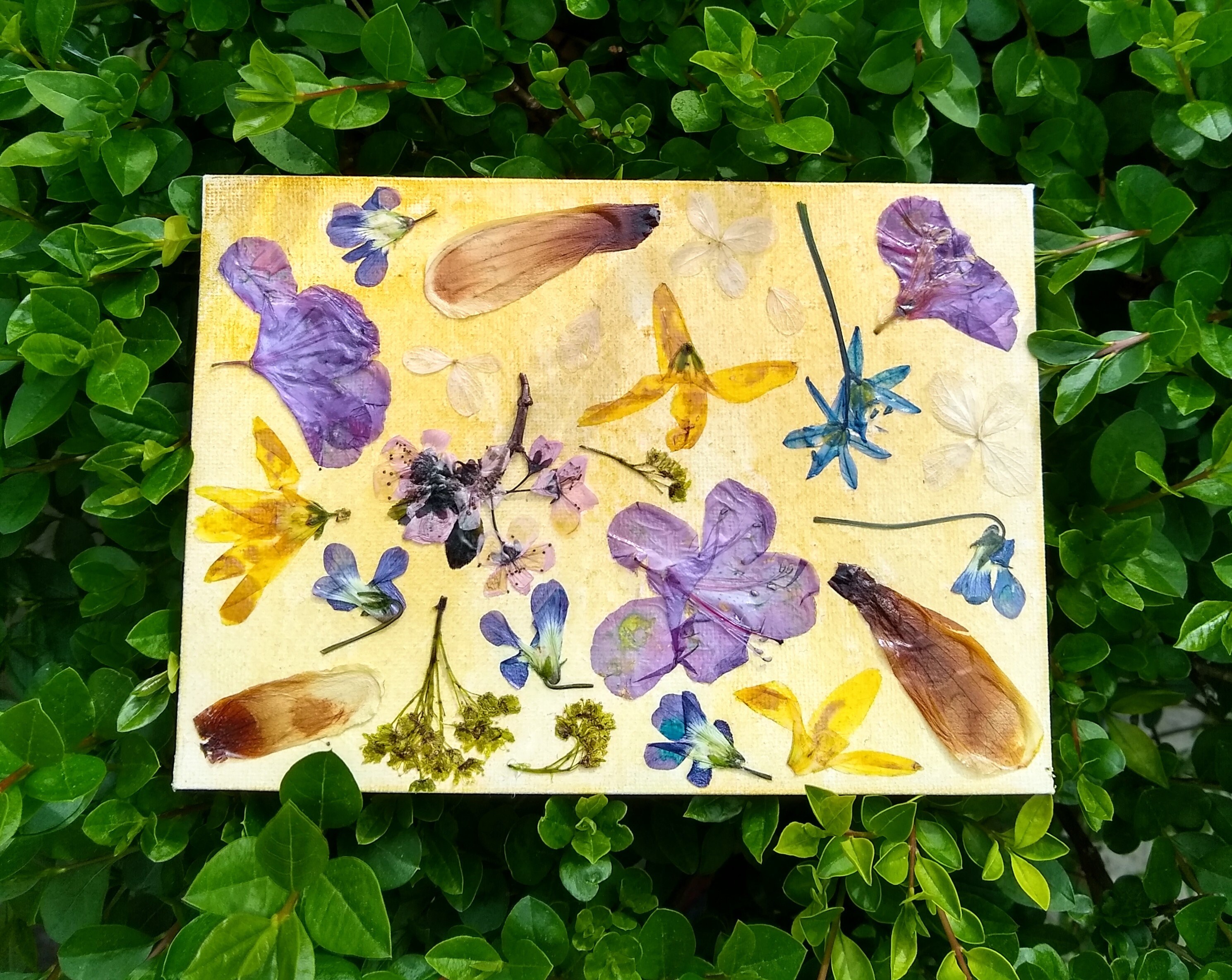 Cottagecore dried flower art Etsy