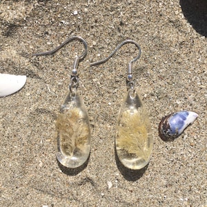 Real Seaweed Resin Earrings