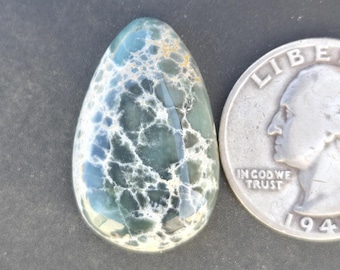 Damele Variscite Cabochon