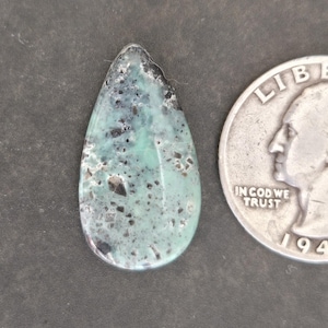 May include: A teardrop-shaped gemstone with a light teal and black speckled pattern. The stone is next to a silver coin. The gemstone has a polished, smooth surface and is likely used for jewelry making or collecting.