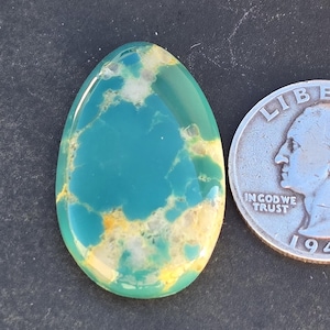 Pode incluir: Uma pedra preciosa oval polida, com um padrão vibrante em turquesa e amarelo. A pedra é exibida ao lado de uma moeda de prata para comparação de tamanho. A superfície da pedra preciosa é lisa e brilhante, com uma mistura de cores.