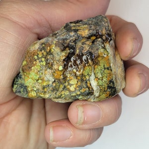 Hubei Turquoise lapidary rough 260 grams