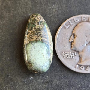 Damele Variscite Cabochon
