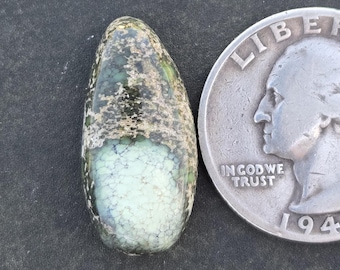 Damele Variscite Cabochon