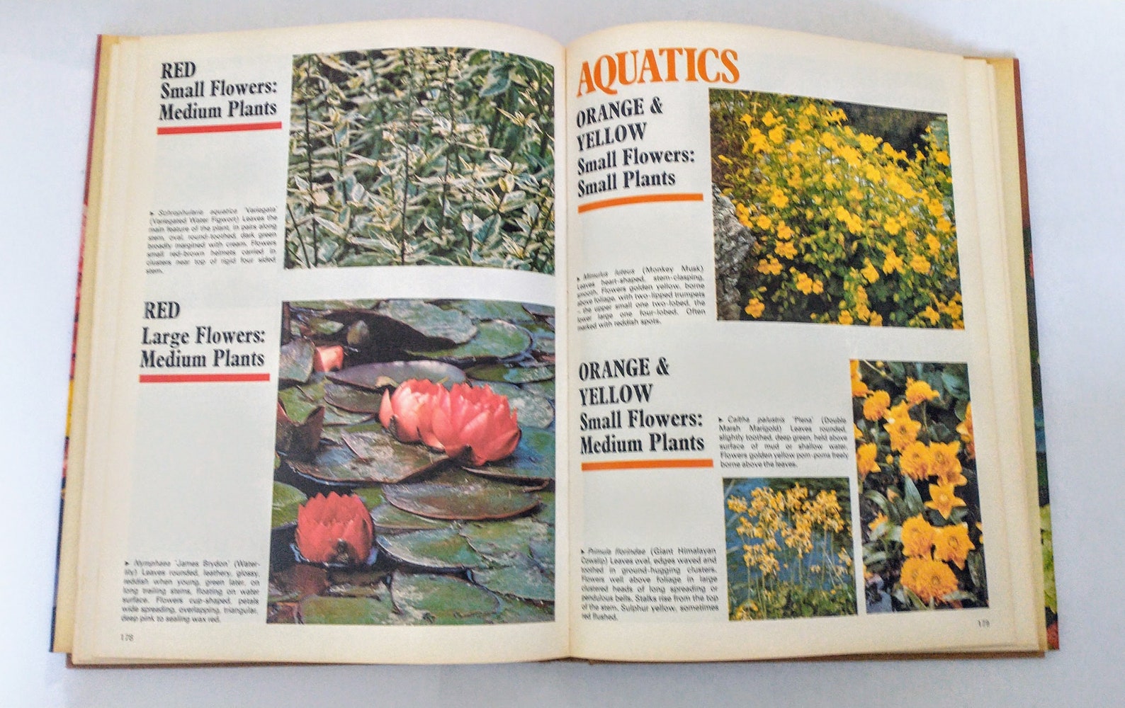 Vintage Garden Flowers Book 1970's Etsy