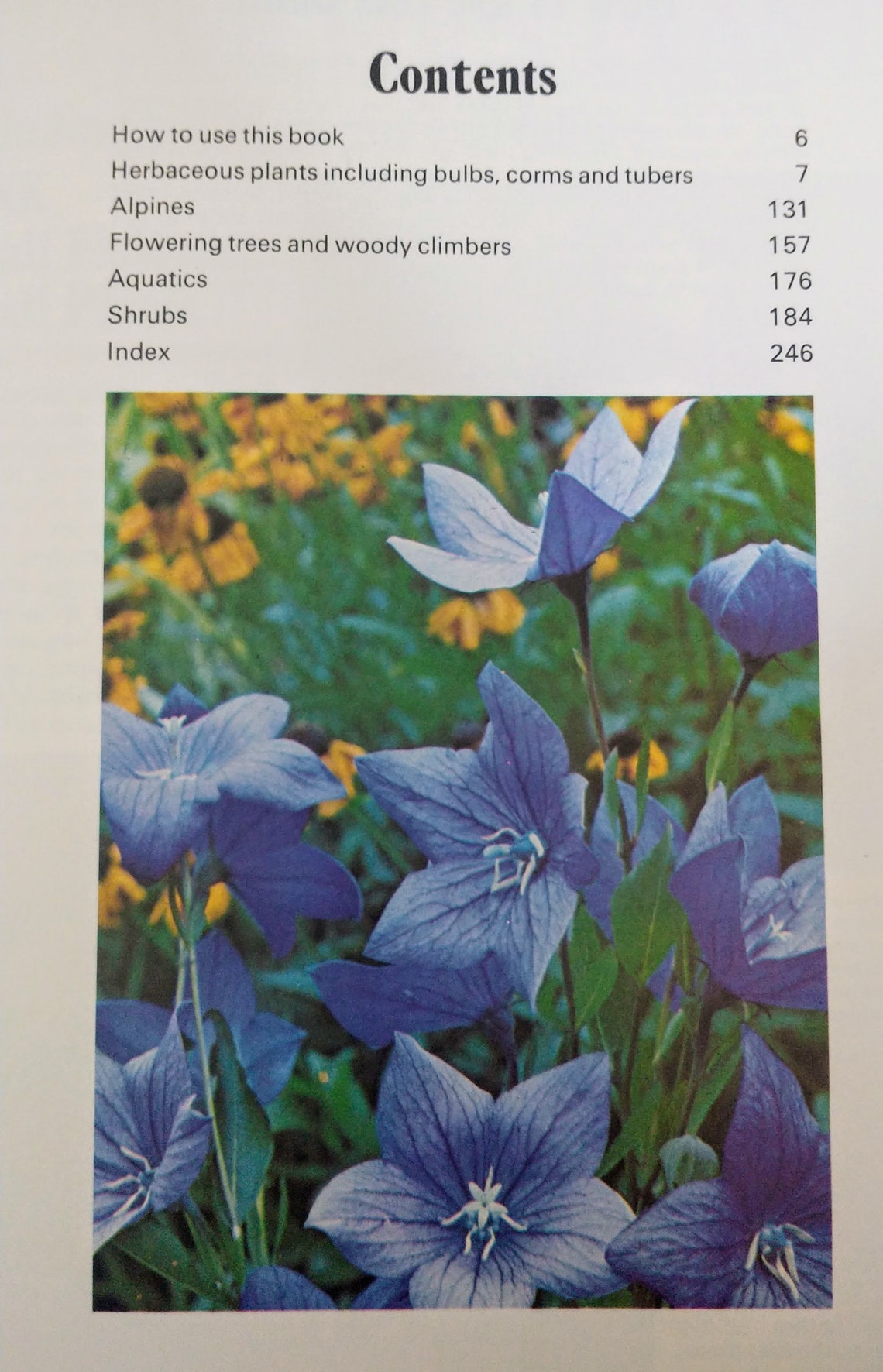 Vintage Garden Flowers Book 1970's Etsy