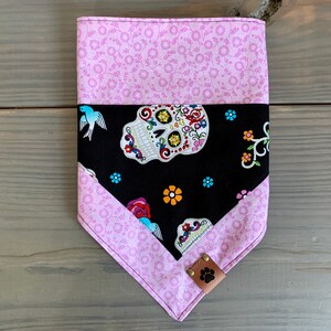 Sugar Skull Fun
