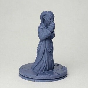Alien Zealot - 32mm Scale  | RPG | Scifi | Role Playing | D&D | Novus Landing