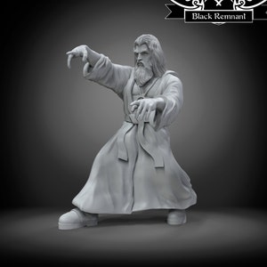 The Mad Mystical Warrior 2 - 35mm Legion Scale | RPG | Scifi | Role Playing | Shatterpoint | SW Miniature