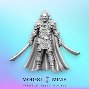 Elf Warrior Evendill - 32mm Scale DnD Miniature | Dungeons and Dragons | JRPG Mini - RN Estudio
