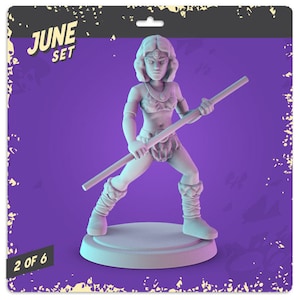 DnD Diana / Mini stampata in resina 3D / Sopravvissuto / DnD / Miniatura di supereroi / Mini pop