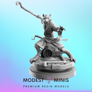 Rat Master - 40mm Miniature | DnD Mini | Superhero Miniature | C27