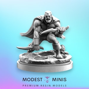 Il Guerriero Invisibile - Miniatura da 40 mm / DnD Mini / Miniatura di supereroe / C27