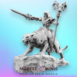 Skulldor on Catroar - 32mm Scale DnD Miniature | Dungeons and Dragons | 80&#39;s Fantasy Mini - RN Estudio