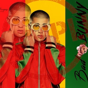 Bad bunny tumbler wrap