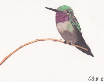 Hummingbird Watercolor Painting