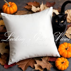 May include: A white square pillow with the text "Looking Glass Views Digital Download" is surrounded by autumn leaves, orange pumpkins, and a black cat.
