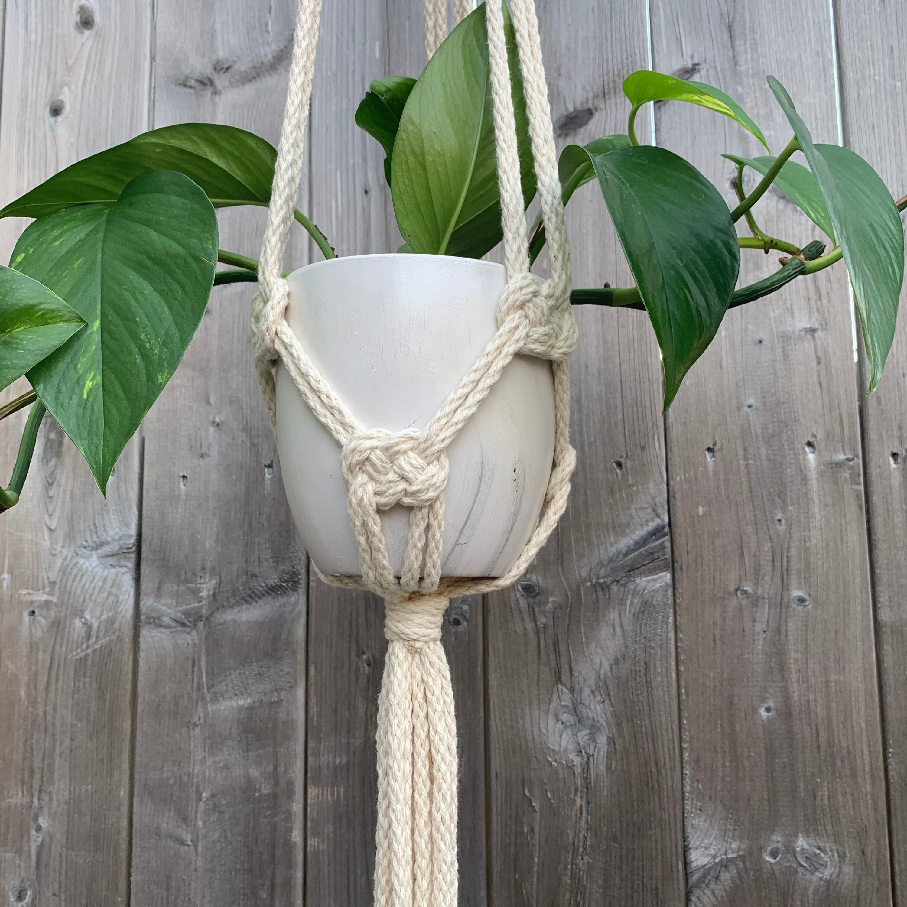 Handmade Josephine Knot Macramé Plant Hanger Etsy