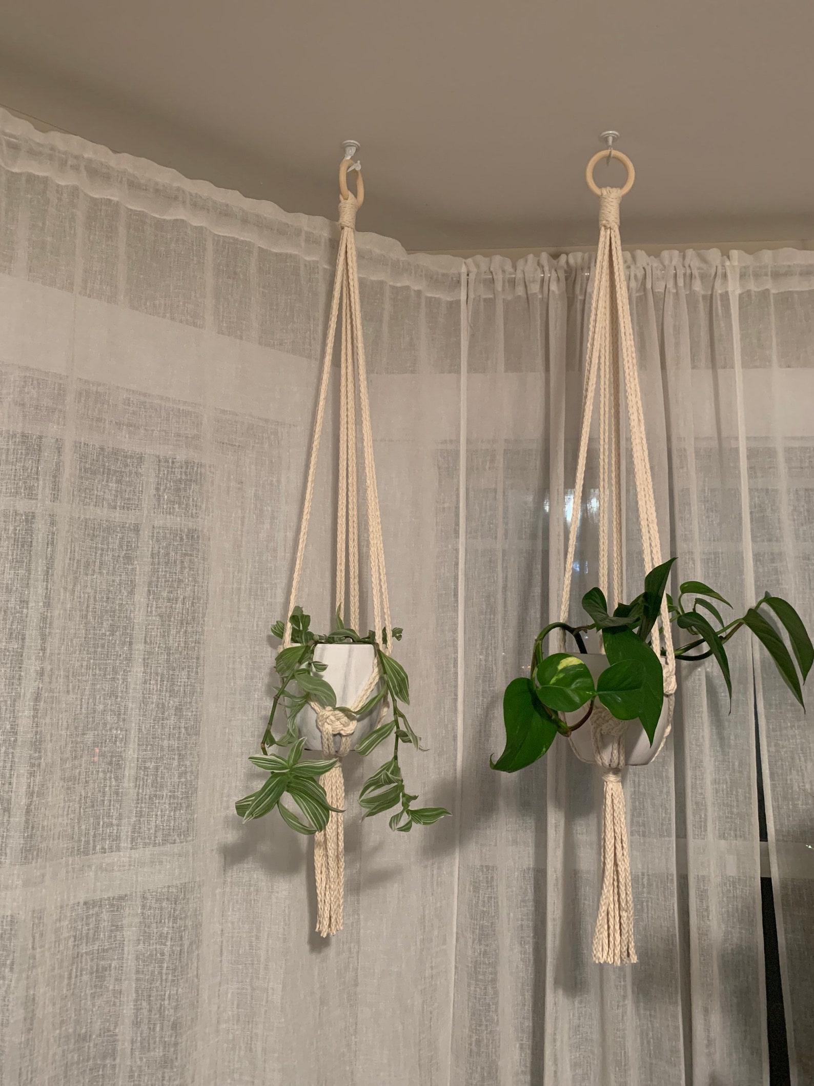 Handmade Josephine Knot Macramé Plant Hanger Etsy